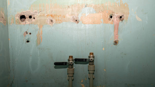 Best Carpet water damage restoration  in Bethlehem, WV