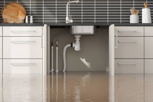 Best Water damage cleanup near me  in Bethlehem, WV