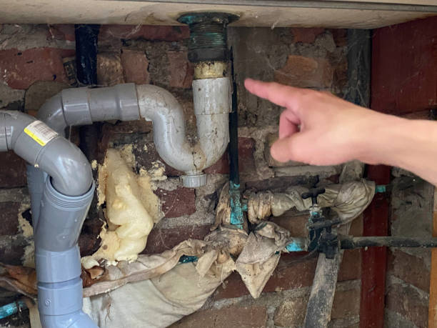 Best Water damage mitigation services  in Bethlehem, WV